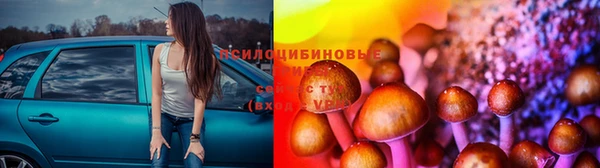 скорость Пересвет